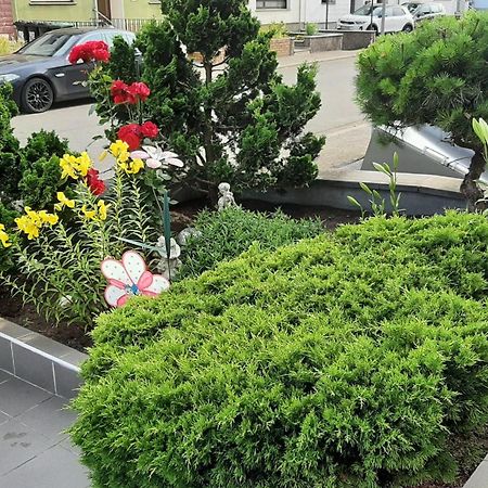 Ferienwohnung Andreea Saarlouis Dış mekan fotoğraf