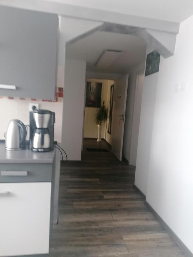 Ferienwohnung Andreea Saarlouis Dış mekan fotoğraf